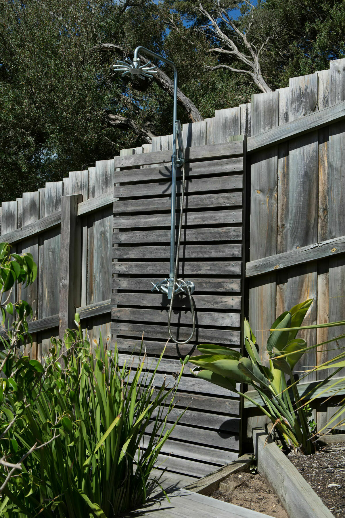 Sunny Side Up B&B Rye Exteriér fotografie